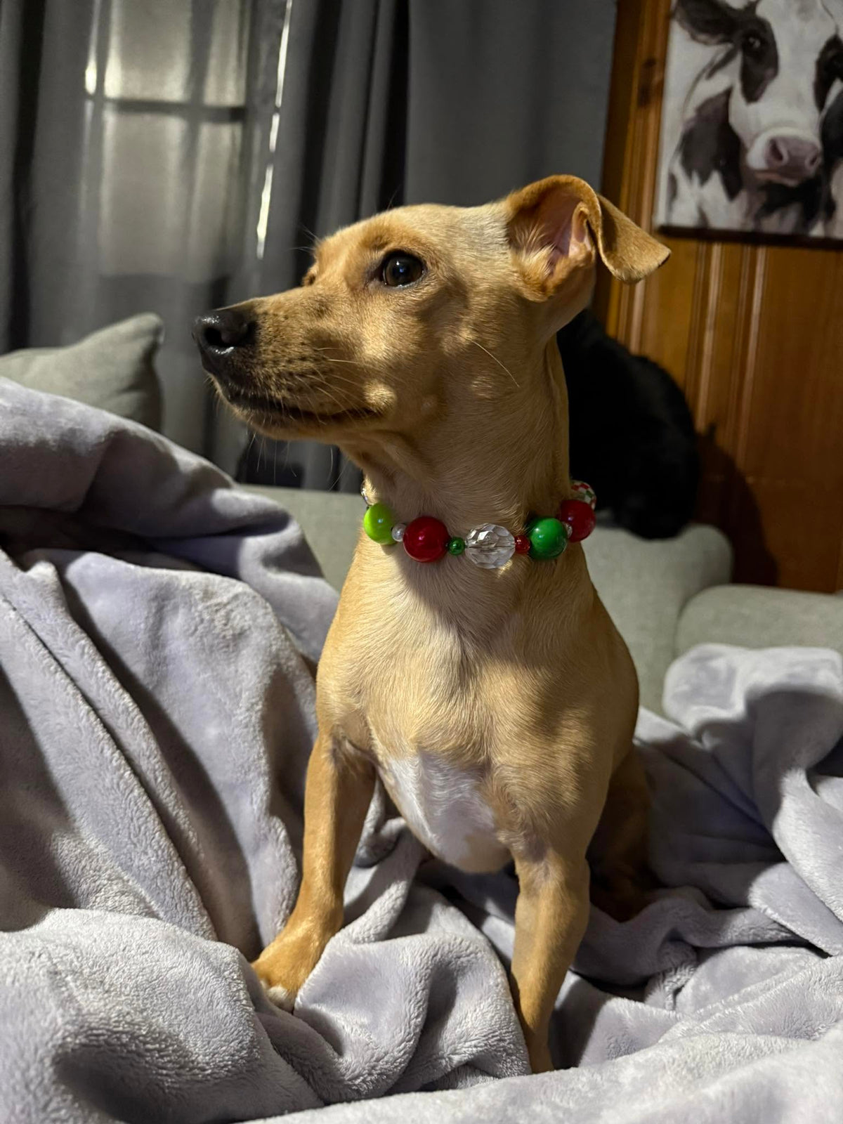 Christmas Dog Necklaces