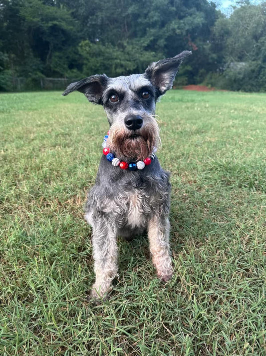 4th of July Dog Necklaces