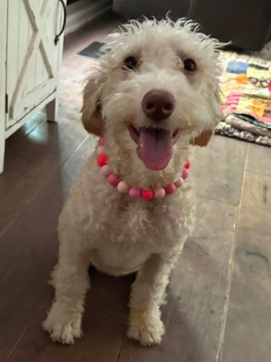 Valentine's Day Dog Necklaces