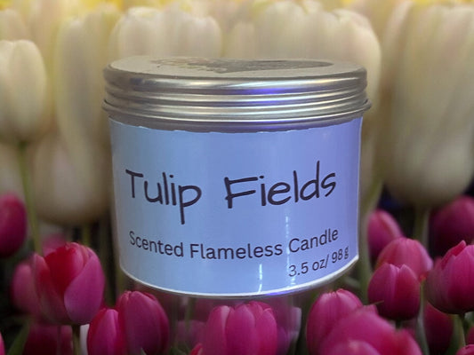 Tulip Fields