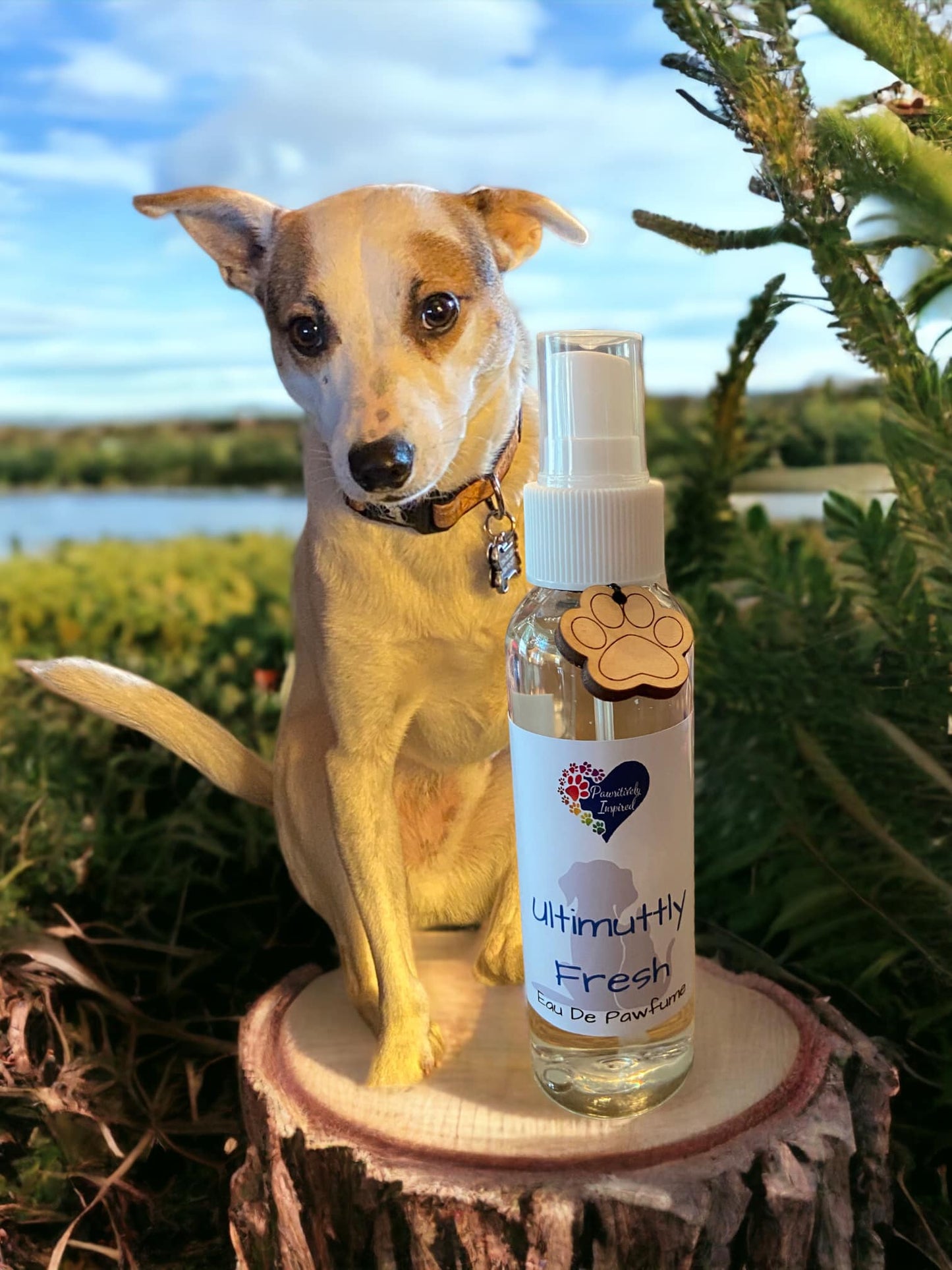 Ultimuttly Fresh - Pet Pawfume