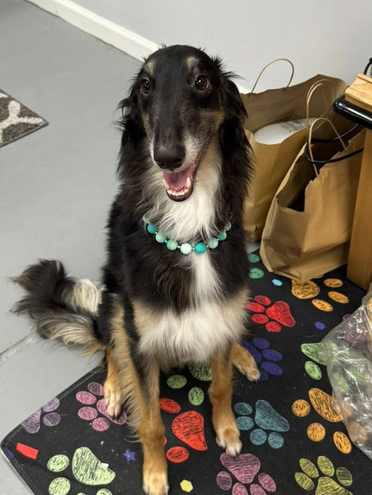 Every Day Dog Necklaces