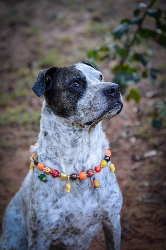 Fall/Halloween Dog Necklaces